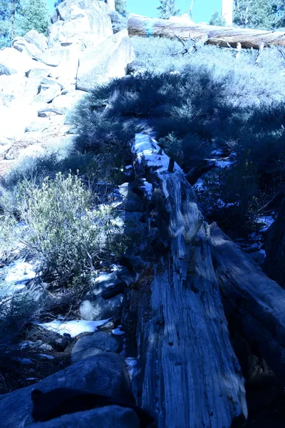 DSC_5056 (Large).JPG